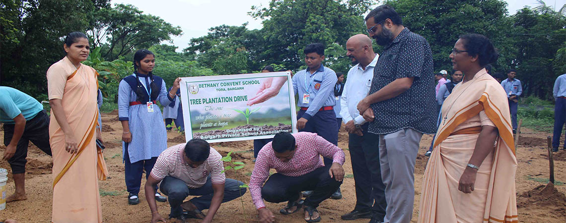 Plantation Drive
